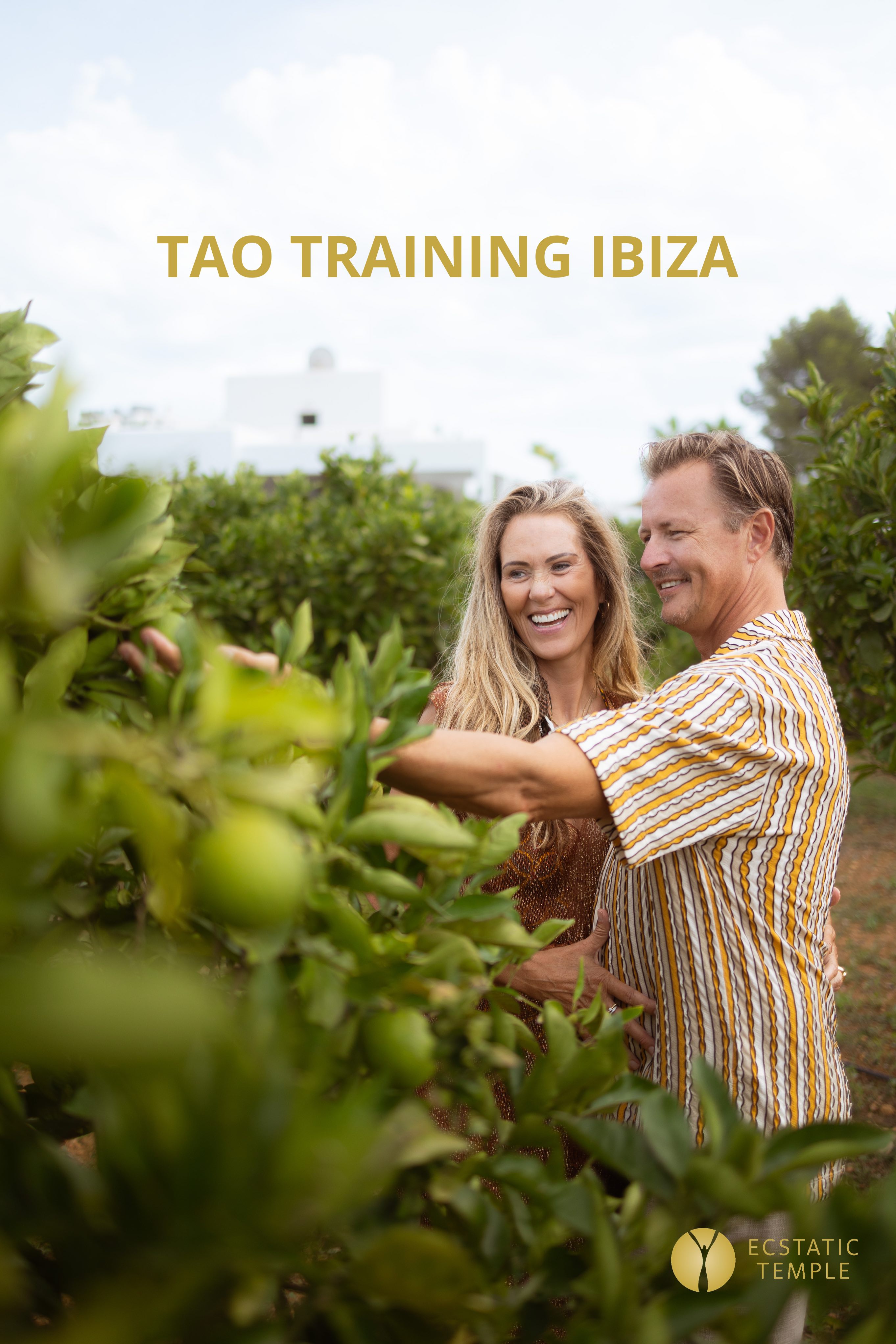 Tao Training | Ibiza (3)